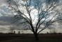 Clouds over Kissena