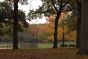 The Ballfields in Autumn