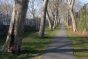 Looking Down the Lane