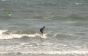 Rockaway Beach Surfers