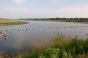 Marine Park Salt Marsh