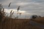 Clouds on a January Day