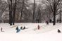 Sledding in Juniper Valley Park