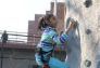 Scaling the rock climbing wall