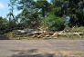 Central Park Storm Damage