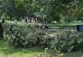 Central Park Storm Damage