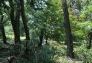 Central Park Storm Damage