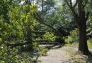 Central Park Storm Damage