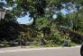 Central Park Storm Damage