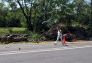 Central Park Storm Damage