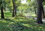 Central Park Storm Damage