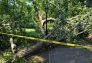 Central Park Storm Damage