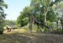 Central Park Storm Damage