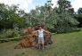 Central Park Storm Damage