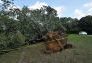 Central Park Storm Damage