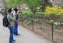 Visitors documenting the flowers, Central Park West Drive