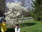 Park Visitors Enjoying a Spring Day