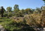 Maria Hernandez Park Storm Damage