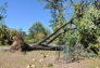 Maria Hernandez Park Storm Damage