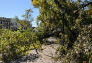 Maria Hernandez Park Storm Damage