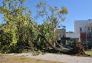 Maria Hernandez Park Storm Damage