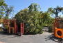 Maria Hernandez Park Storm Damage