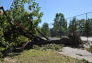 Maria Hernandez Park Storm Damage