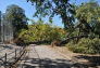 Maria Hernandez Park Storm Damage