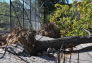 Maria Hernandez Park Storm Damage