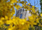 Spring at Fort Tryon Park