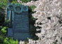 Spring at Fort Tryon Park