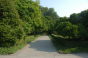 Brooklyn Botanic Garden