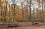 Greenbelt Native Plant Center