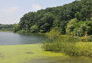 Restoration of Oakland Lake