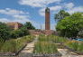 A Green Roof View of Lyons Pool