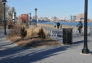 East River Park Promenade