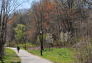 Walking Through Clove Lakes Park