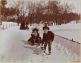 Recent Vision of Jollity, Children and Dog Sledding, Central Park, Manhattan,