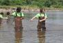 Seining in Marine Park