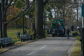 Storm Recovery at Pelham Bay Park