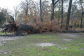 Downed Trees at Pelham Bay Park