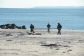 Cleanup at Coney Island