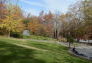 Fall in St. Nicholas Park