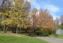 Fall in St. Nicholas Park