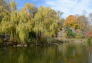 Fall in Morningside Park