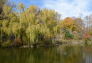 Fall in Morningside Park