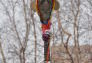 Winter Snow at The High Line