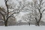 Winter Snow at Fort Greene Park