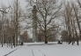 Winter Snow at Fort Greene Park