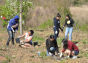 MillionTreesNYC Spring 2013 Planting Day